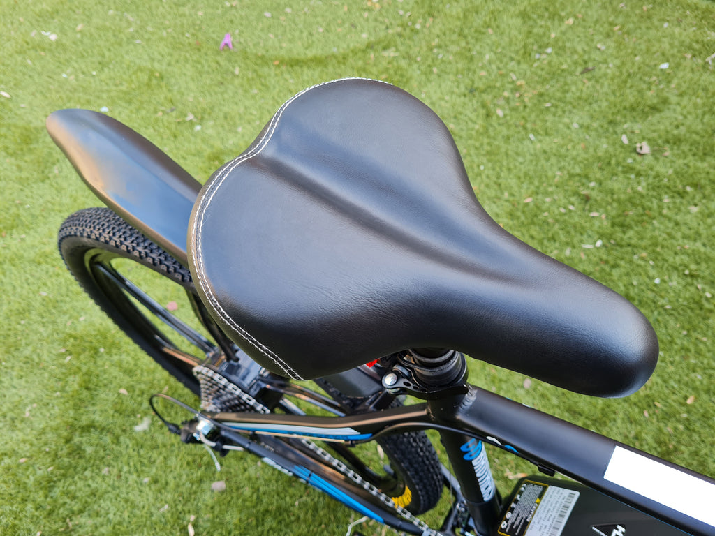 Gadys Mountain E-bike - Blue